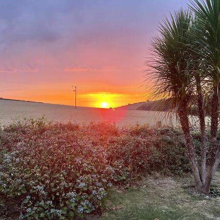 Westerley Country B & B With Exclusive Guest Lounge Buckfastleigh Luaran gambar