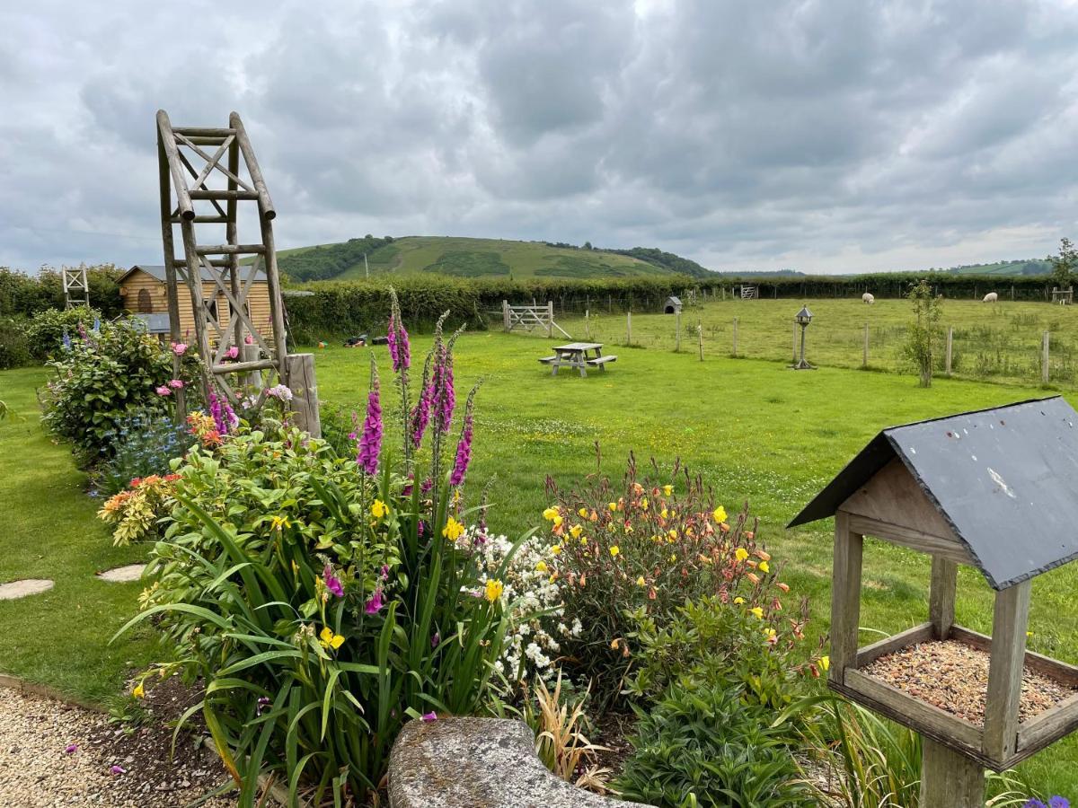 Westerley Country B & B With Exclusive Guest Lounge Buckfastleigh Luaran gambar