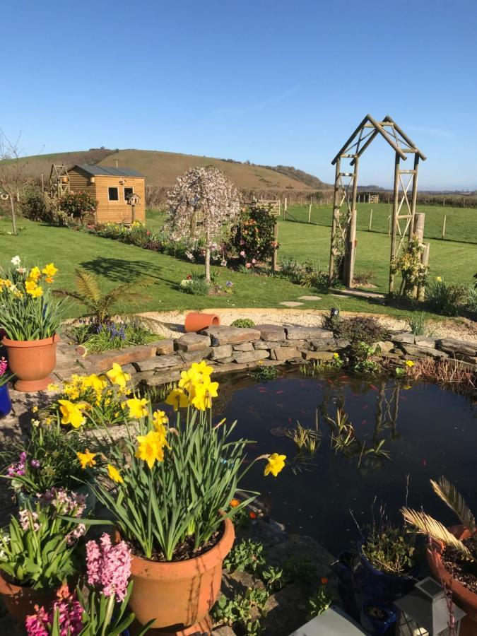 Westerley Country B & B With Exclusive Guest Lounge Buckfastleigh Luaran gambar