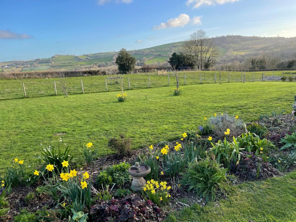 Westerley Country B & B With Exclusive Guest Lounge Buckfastleigh Luaran gambar
