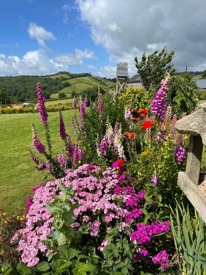 Westerley Country B & B With Exclusive Guest Lounge Buckfastleigh Luaran gambar