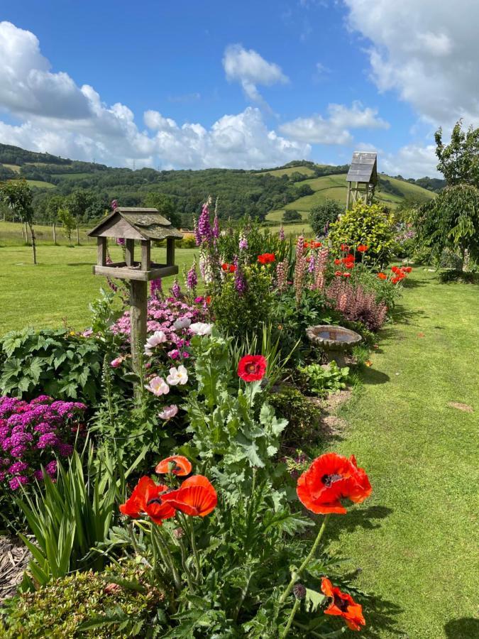 Westerley Country B & B With Exclusive Guest Lounge Buckfastleigh Luaran gambar
