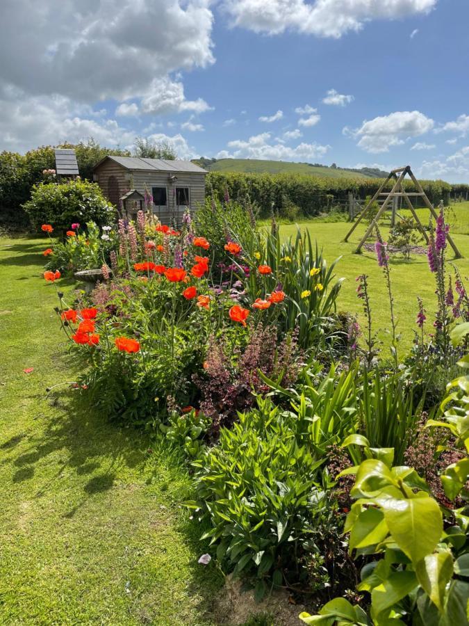 Westerley Country B & B With Exclusive Guest Lounge Buckfastleigh Luaran gambar