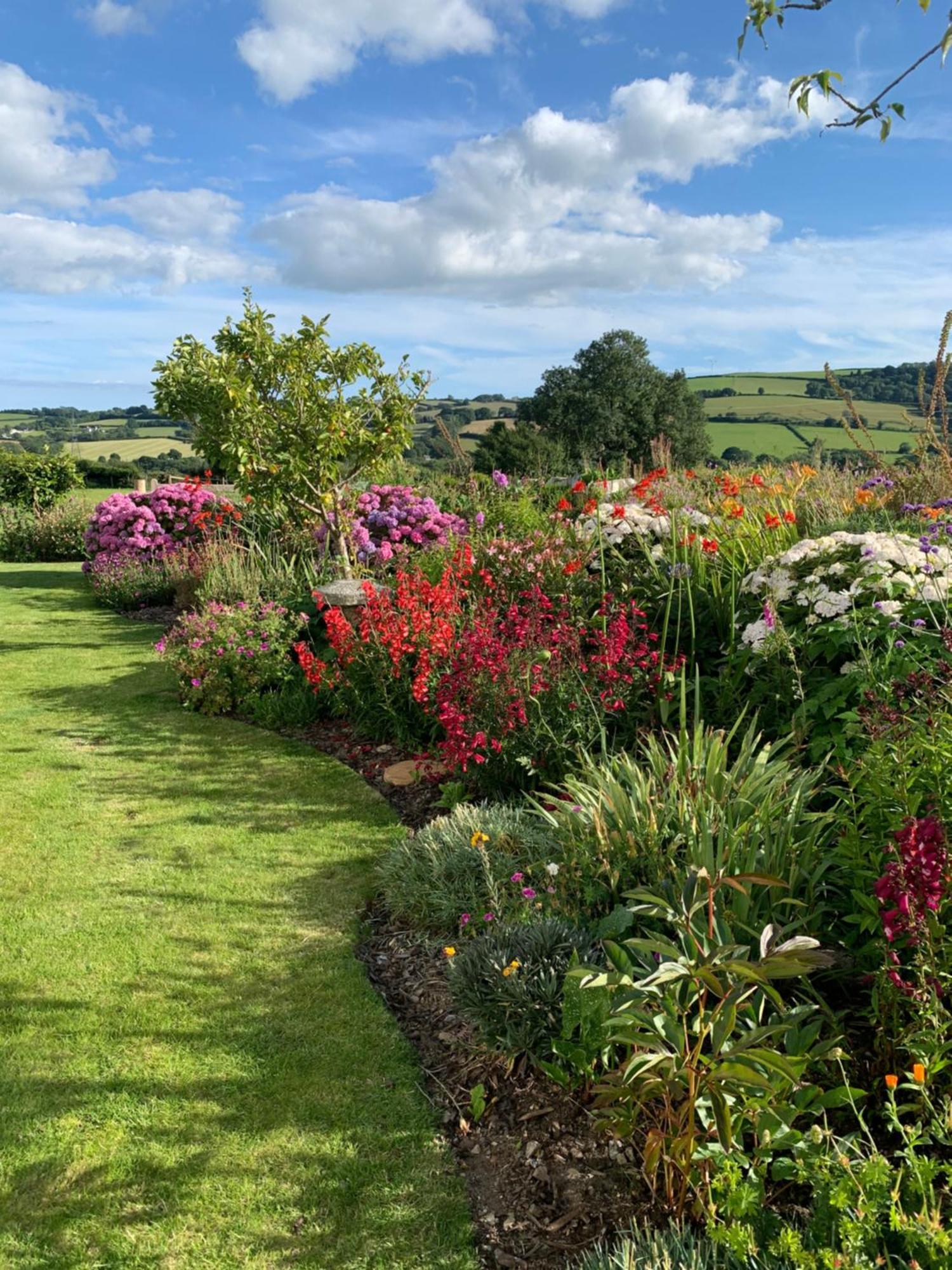 Westerley Country B & B With Exclusive Guest Lounge Buckfastleigh Luaran gambar